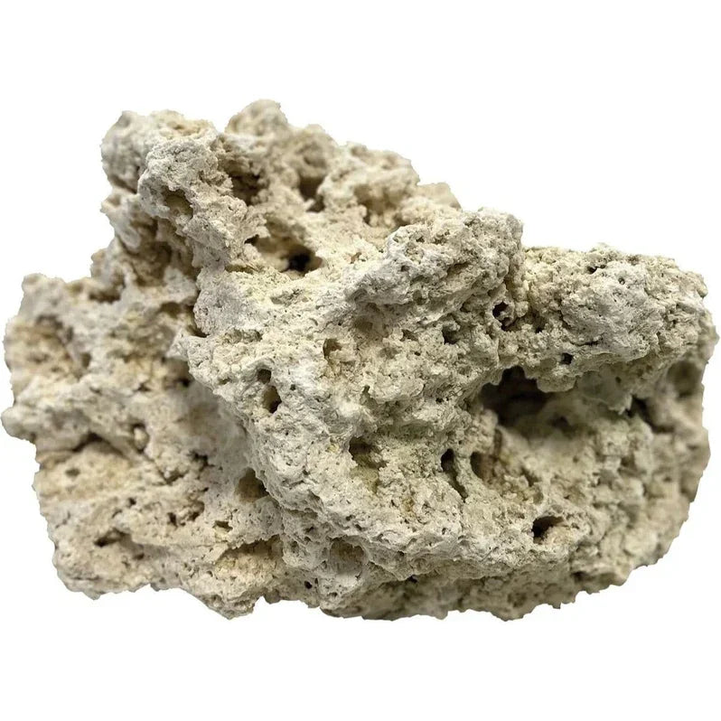 Pierre sèche de récif poreuse pour aquarium marin, coloration beige naturelle, roche décorative