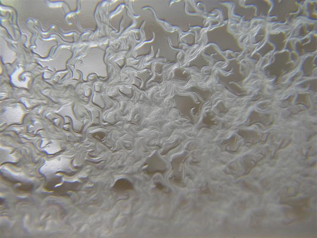 Souches de Microvers – Nourriture vivante essentielle pour vos alevins