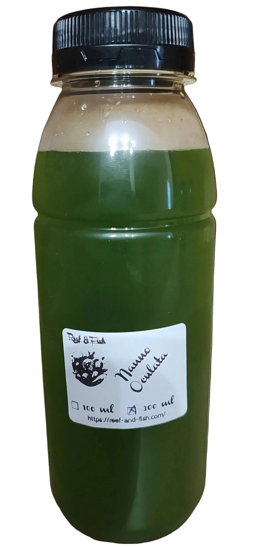 Bouteille de culture vivante Nannochloropsis oculata pour aquarium récifal ou eau douce