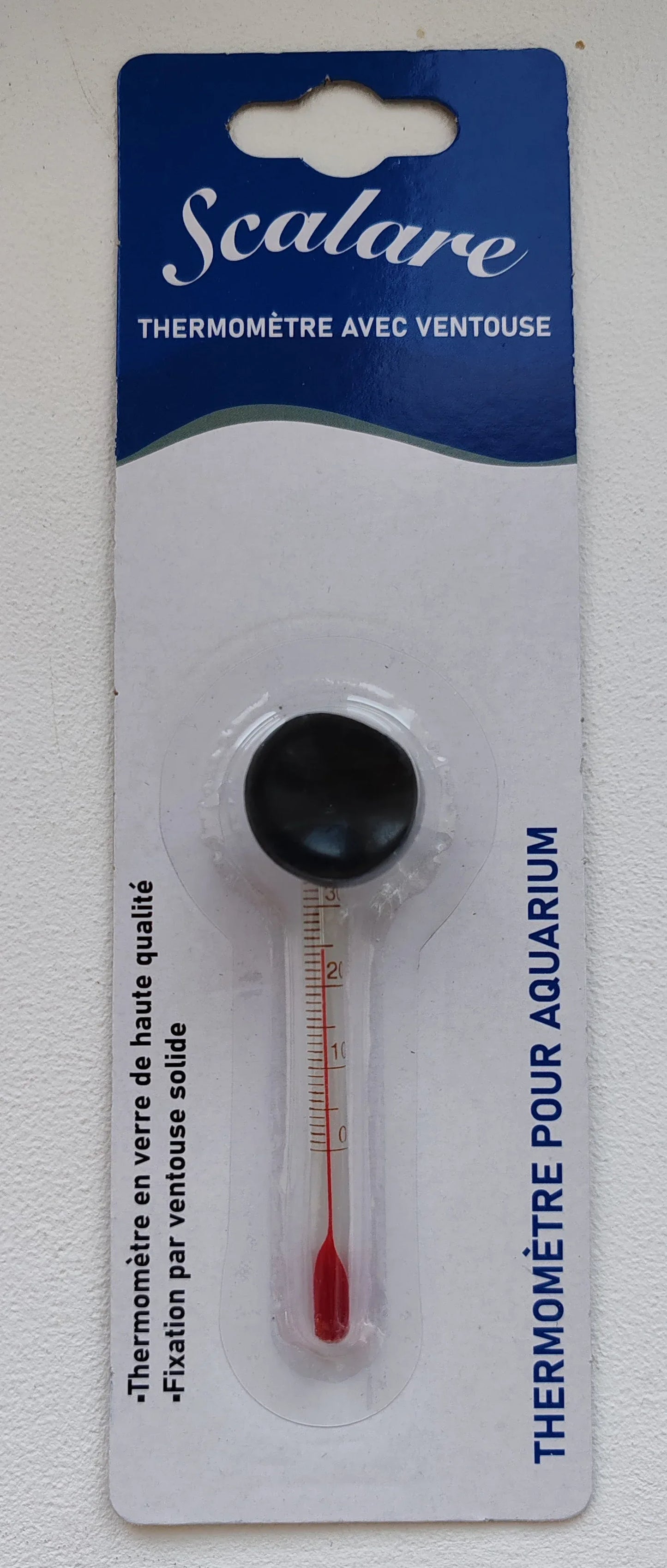 THERMOMETRE flottant+ventouse blister SCALARE