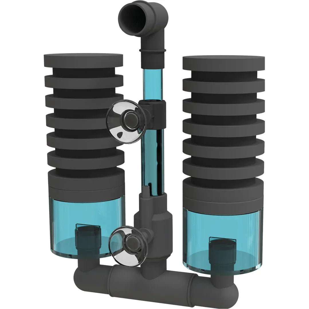 Filtre biologique à air pour aquarium, double mousse noire et ventouses, pour eau douce