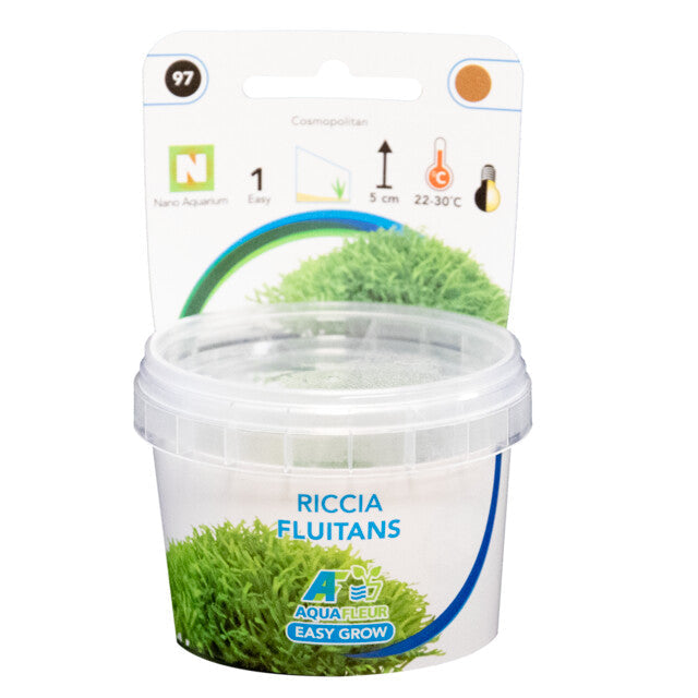 Easy Grow 97 Riccia Fluitans