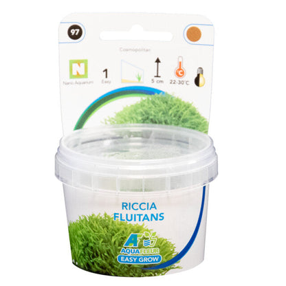 Easy Grow 97 Riccia Fluitans