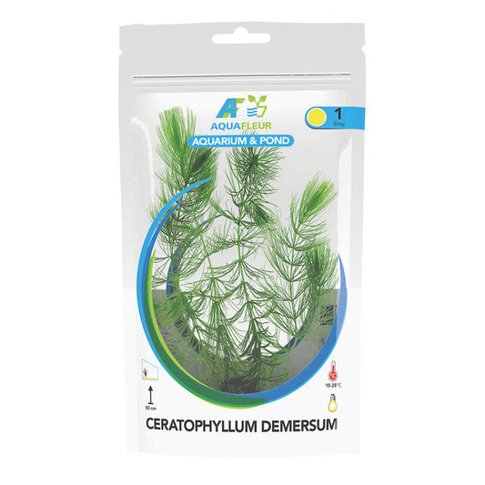 Sac Ceratophyllum Demersum