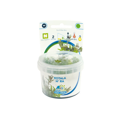 Easy Grow 99 Rotala H' Ra
