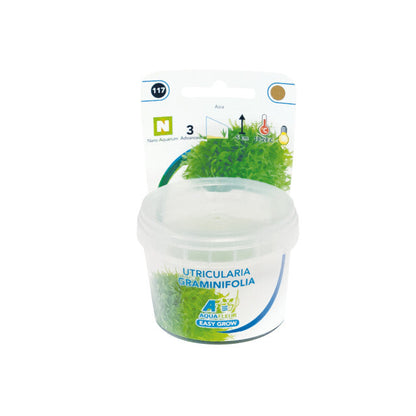 Easy Grow 117 Utricul.Graminifolia