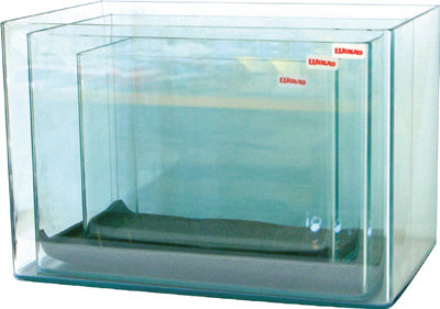 CUVE + COUVERCLE BOX 30 CM