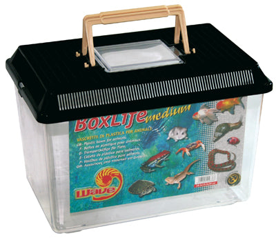 BOXLIFE MEDIUM