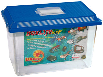 BOXLIFE LARGE
