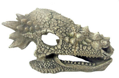 DRAGON SKULL 15,3x10x8cm