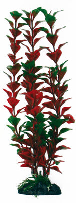 PLANTE LUDWIGIA 18cm
