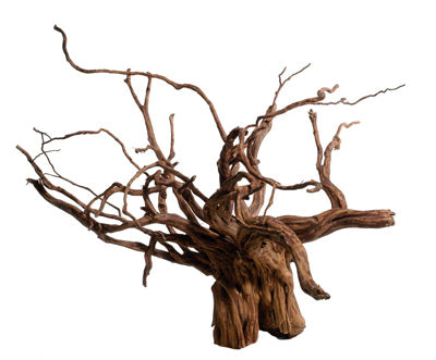 Red Moorwood 15-80cm le Kg---
