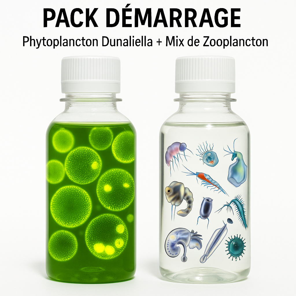 Pack Démarrage - Phytoplancton Dunaliella + Mix de Zooplancton