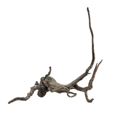 RACINE FINGERWOOD S DARK 20-30cm HOBBY