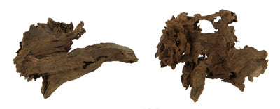 RACINE MANGROVE XS 12-15cm HOBBY