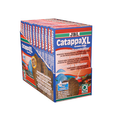 CATAPPA XL feuille de badamier