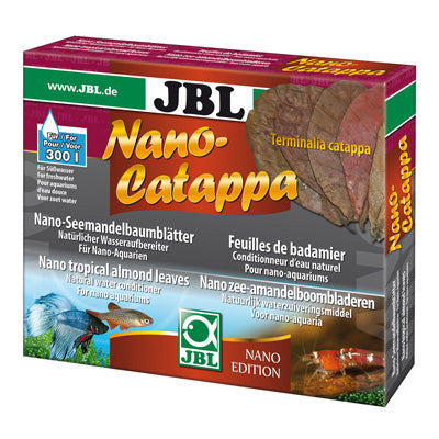 Nano Catappa  feuille de badamier