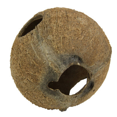 COCOS CAVA 1/1L  JBL