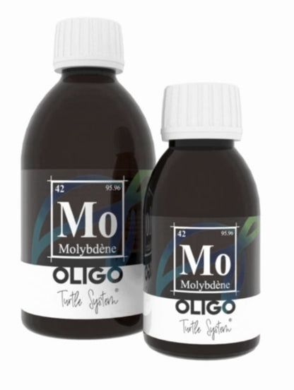 OLIGO – Molybdène
