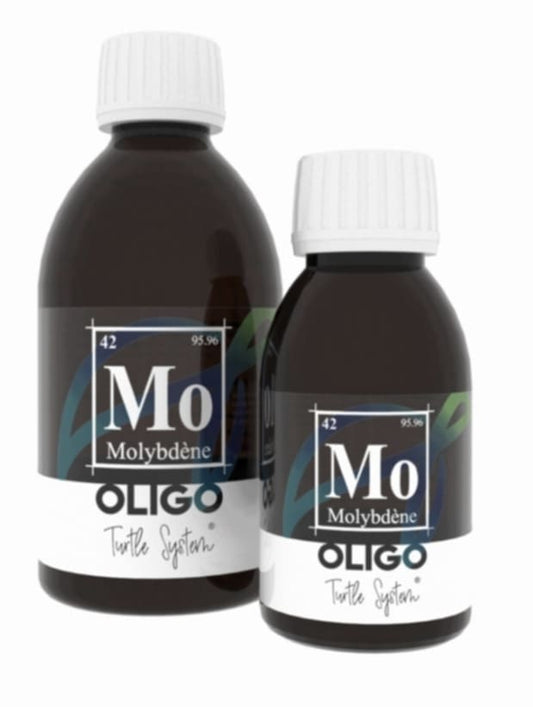 OLIGO – Molybdène