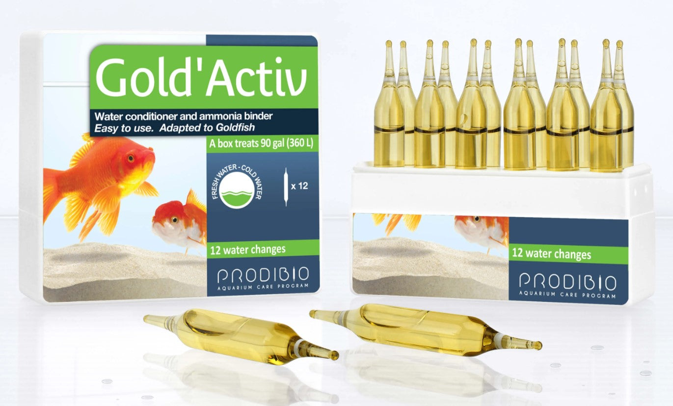 Gold'Activ 12 Amp