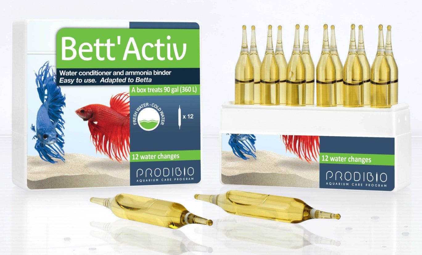 Bett'Activ 12Amp