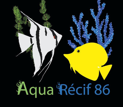 Logo partenaire