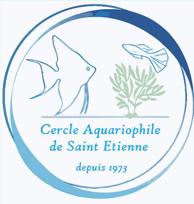 Logo partenaire