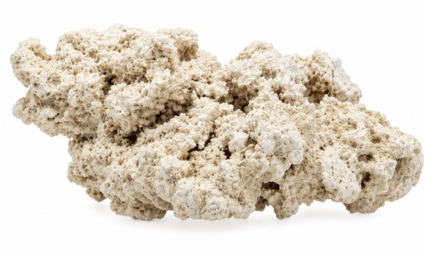 Roche sèche sable coquillier le KG SCALARE