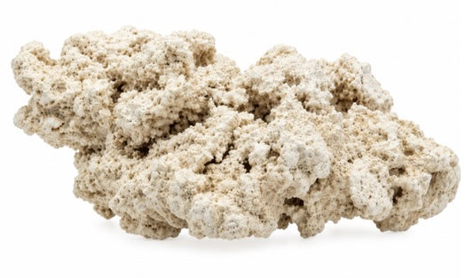 Roche sèche sable coquillier le KG  SCALARE
