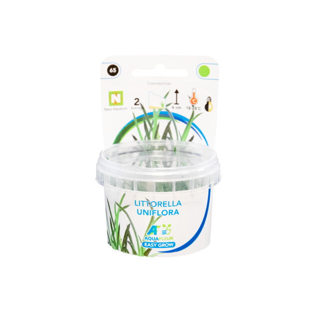 Easy Grow 65 Littorella Uniflora