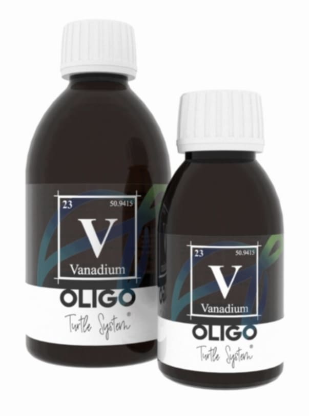 OLIGO – Vanadium