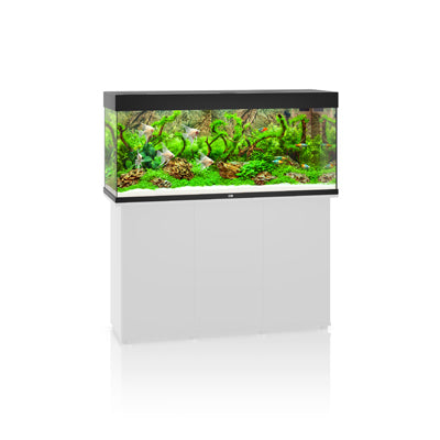 Aquarium RIO 240 LED (2x led 1047mm) NOIR  JUWEL
