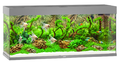 Aquarium RIO 240 LED (2x led 1047mm) GRIS  JUWEL