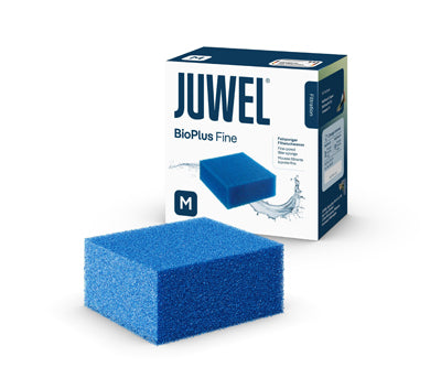 MOUSSE FINE COMPACTE JUWEL