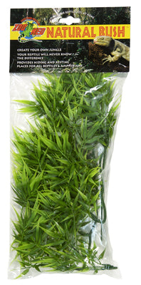 PLANTE MADAGASCAR BAMBO MM  - ZM