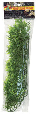 PLANTE MADAGASCAR BAMBO GM  - ZM