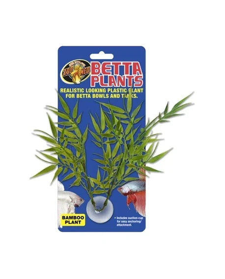Betta Plant Bamboo ZOOMED