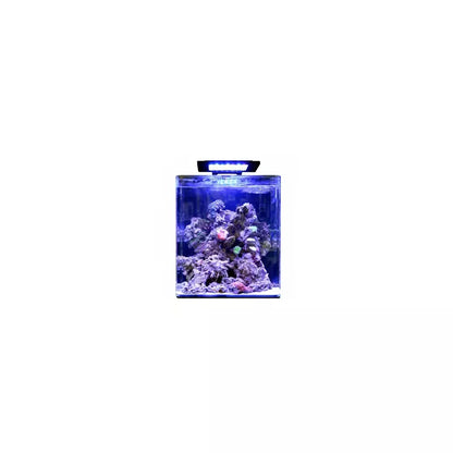 Blue Marine Reef 60 – Aquarium récifal 60L (Sur commande)