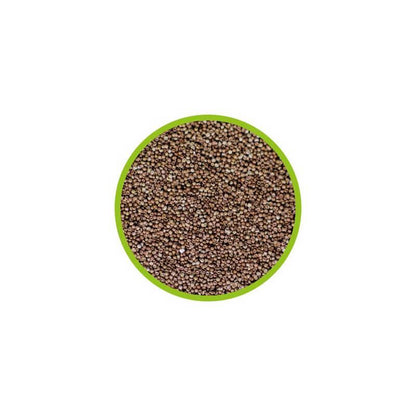Oeufs Artemia grade A  15ml