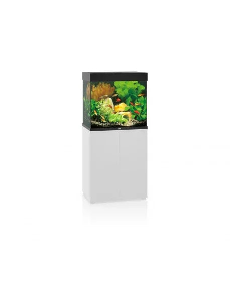 Aquarium d’eau douce sur meuble blanc, plantes vertes, poissons colorés, décoration aquarium