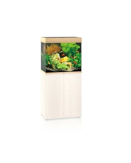 Aquarium d’eau douce moderne avec meuble blanc, plantes aquatiques et poissons colorés
