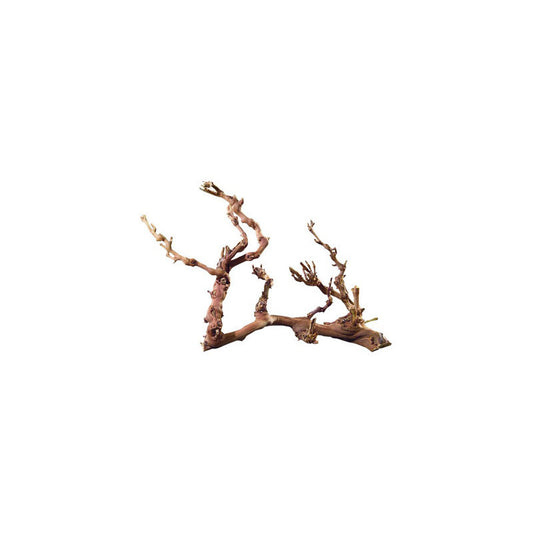 RACINE DE VIGNE SABLEE  PM