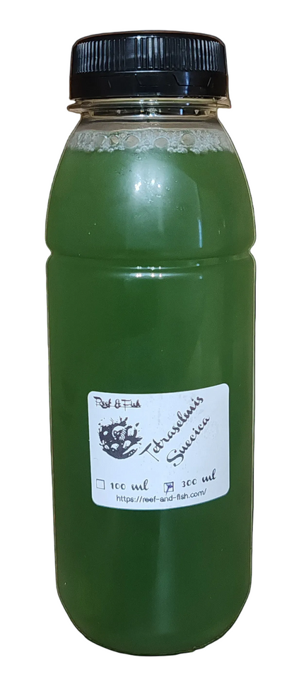 Tetraselmis suecica 300 ml