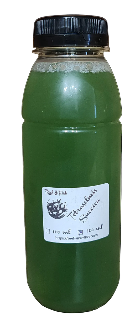 Tetraselmis suecica 300 ml