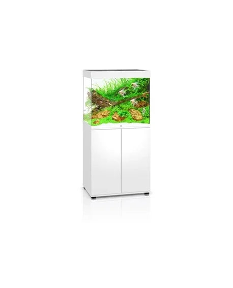 Aquarium récifal moderne avec plantes vertes, meuble blanc, décor naturel