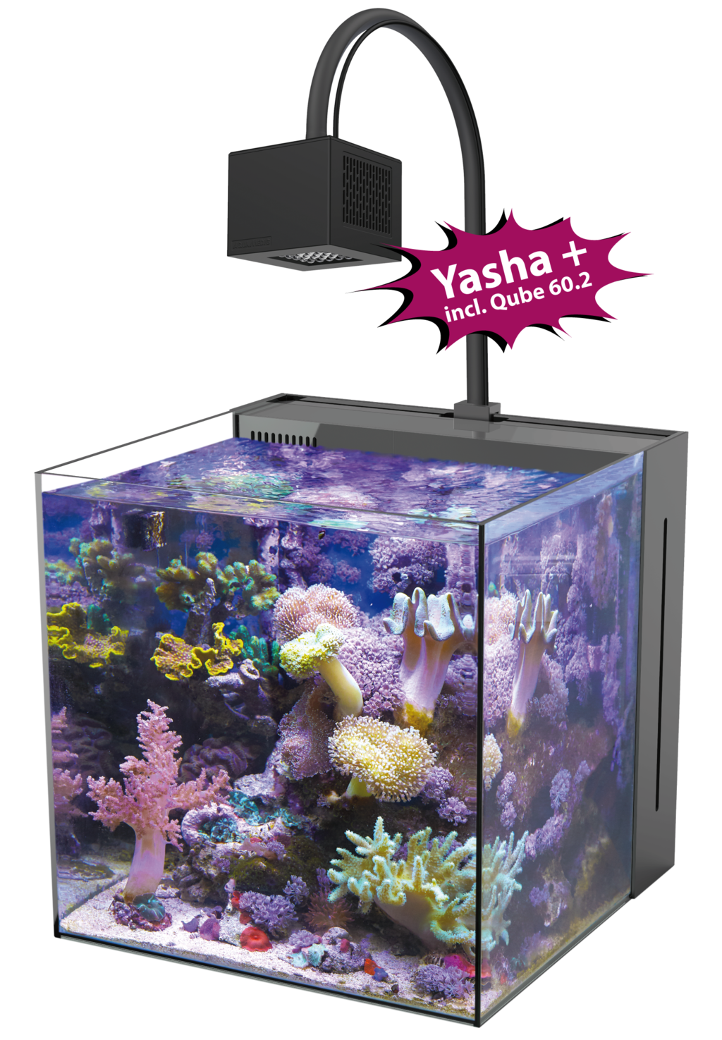 Aquarium Yasha 60