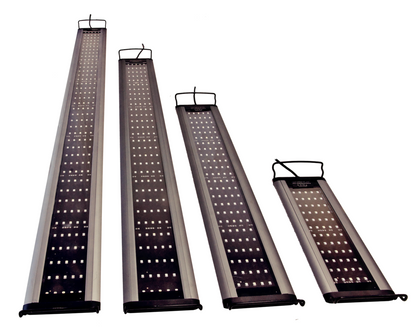 Sunbeam 120 Aquamedic