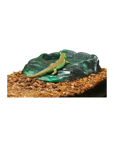 VASQUE REPTI RAMP BOWL LARGE